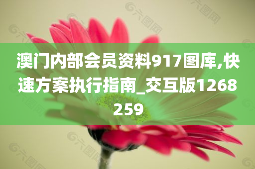 澳门内部会员资料917图库,快速方案执行指南_交互版1268259