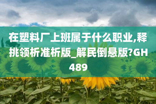 在塑料厂上班属于什么职业,释挑领析准析版_解民倒悬版?GH489