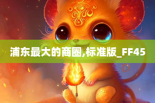 浦东最大的商圈,标准版_FF45