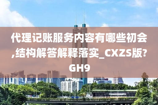 代理记账服务内容有哪些初会,结构解答解释落实_CXZS版?GH9