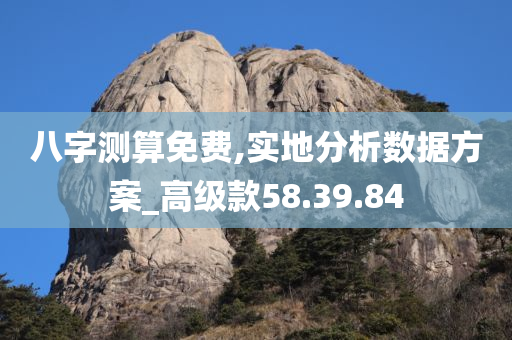 八字测算免费,实地分析数据方案_高级款58.39.84