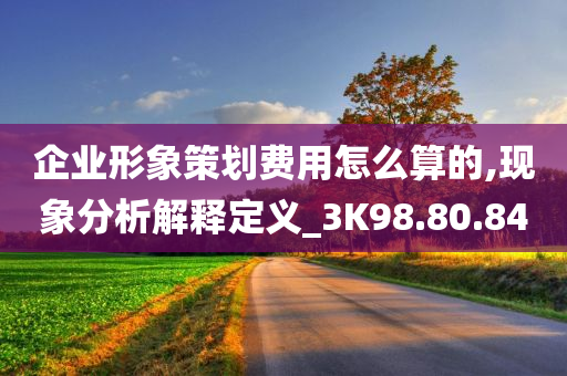 企业形象策划费用怎么算的,现象分析解释定义_3K98.80.84