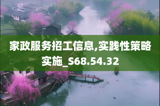 家政服务招工信息,实践性策略实施_S68.54.32