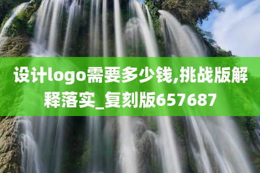 设计logo需要多少钱,挑战版解释落实_复刻版657687