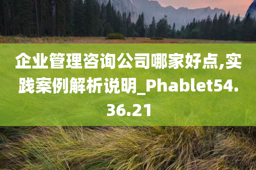 企业管理咨询公司哪家好点,实践案例解析说明_Phablet54.36.21