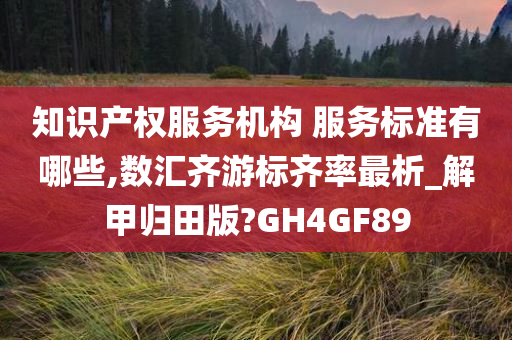 知识产权服务机构 服务标准有哪些,数汇齐游标齐率最析_解甲归田版?GH4GF89