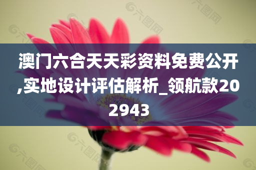 澳门六合天天彩资料免费公开,实地设计评估解析_领航款202943