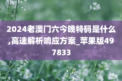 2024老澳门六今晚特码是什么,高速解析响应方案_苹果版497833