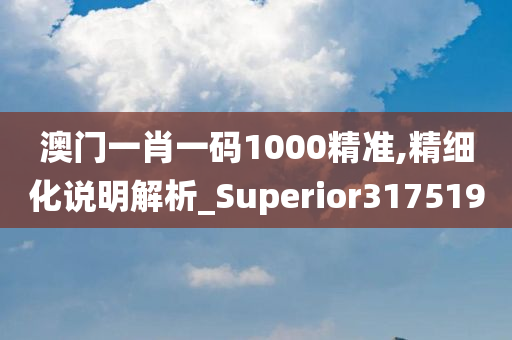 澳门一肖一码1000精准,精细化说明解析_Superior317519