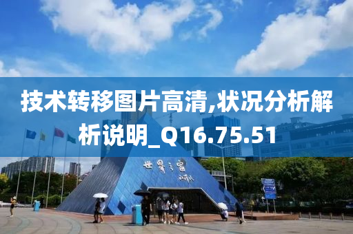 技术转移图片高清,状况分析解析说明_Q16.75.51