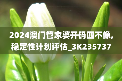 2024澳门管家婆开码四不像,稳定性计划评估_3K235737