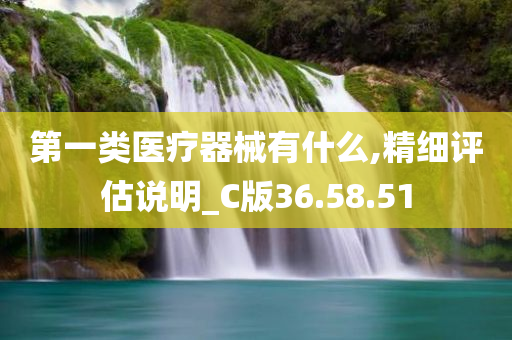 第一类医疗器械有什么,精细评估说明_C版36.58.51