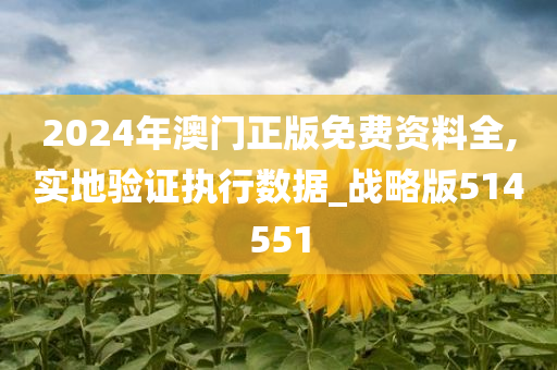 2024年澳门正版免费资料全,实地验证执行数据_战略版514551