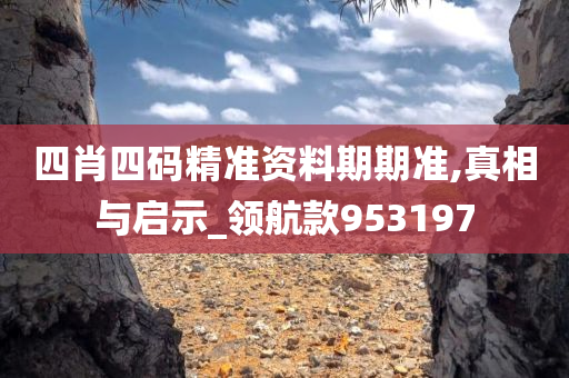 四肖四码精准资料期期准,真相与启示_领航款953197