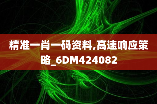 精准一肖一码资料,高速响应策略_6DM424082