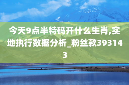 今天9点半特码开什么生肖,实地执行数据分析_粉丝款393143