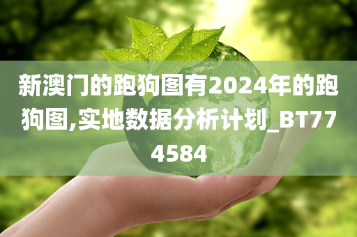 新澳门的跑狗图有2024年的跑狗图,实地数据分析计划_BT774584