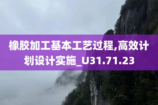 橡胶加工基本工艺过程,高效计划设计实施_U31.71.23