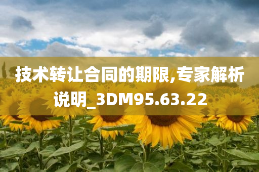 技术转让合同的期限,专家解析说明_3DM95.63.22