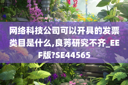 网络科技公司可以开具的发票类目是什么,良莠研究不齐_EEF版?SE44565